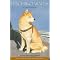 Animal Heroes in Children's Literature
