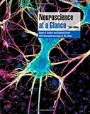 Neuroscience at a glance
