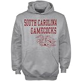 South Carolina Gamecocks Youth Ash Stacked Hoody Sweatshirt