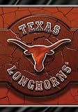 University of Texas Longhorns Large House Flag i