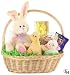 Gund Roly Bunny Easter Basket