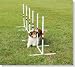 Petsafe Weave Poles