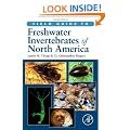 Field Guide to Freshwater Invertebrates of North America