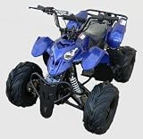 Scorpion" 110cc ATV (MDL-GA002-5)