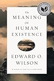 The meaning of human existence