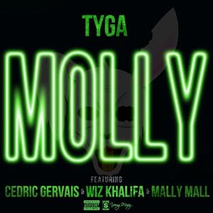  Tyga | Format: MP3 Music  From the Album: Molly [Explicit] Release Date: March 15, 2013   Download:  $1.29