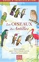 Les Oiseaux des Antilles Guide d Identification