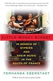 Little Money Street: In Search of Gypsies and Their Music in the South of France (Vintage Departures)