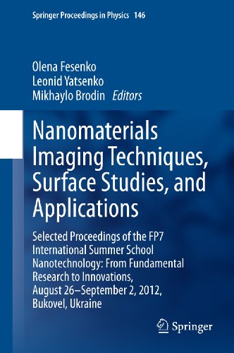 Nanomaterials Imaging Techniques, Surface Studies, and Applications: Selected Proceedings of the FP7 International Summer School Nanotechnology: From Fundamental ... 146 (Springer Proceedings in Physics)