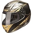 Fly Racing Paradigm Classic Adult On-Road Motorcycle Helmet - Black/Gold