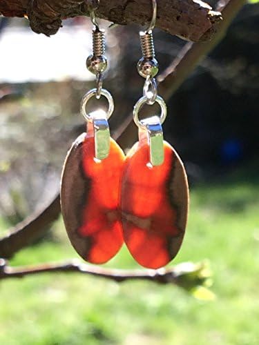 Small Wood Naturally Organic Lightweight Monkey Puzzle Wood Earrings