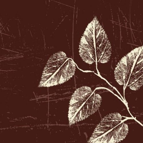 Elise Premium Patterned Beverage Napkins, 24 Count, Weathered - Foliage