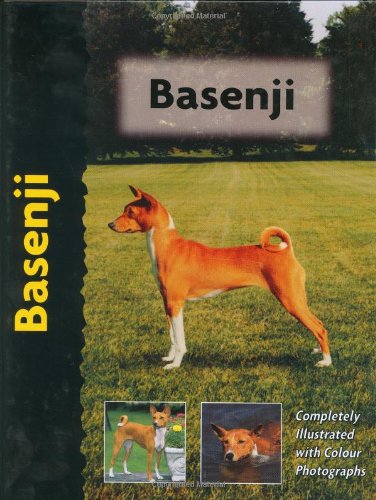 Basenji (Petlove)