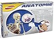 Joustra - 47001 - Jeu �ducatif et Scientifique - Jeu Scientifique - Anatomie