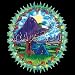 Grateful Dead - Music and Musician Women's Cut T-Shirt