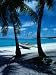 Outrigger Canoe on a Palm-Fringed Beach, Marshall Islands Photographic Poster Print by Oliver Strewe, 18x24