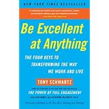 BeExcellentatAnything