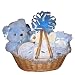 Baby : "Baby Paradise" Gift Basket for Boys