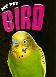 Bird (My Pet)
