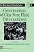 Geochemistry of Clay-Pore Fluid Interactions (The Mineralogical Society Series)