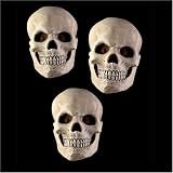 Morbid Industries Skull Set Decorations