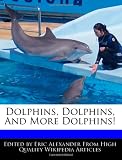Dolphins, Dolphins, and More Dolphins!