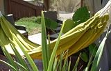 Panama Hammocks Single Green