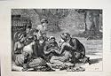 1879 PICNIC BURNHAM BEECHES FORTUNE TELLING OLD PRINT