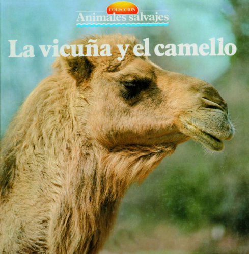 La vicuña y el camello (Spanish Edition)