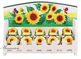 Sunflowers Wooden Spice rack
