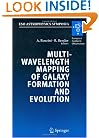 Multiwavelength Mapping of Galaxy Formation and Evolution: Proceedings of the ESO Workshop Held at Venice, Italy, 13-16 October 2003 (ESO Astrophysics Symposia)