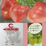 ハートのトマトミニ5個入り5個セット（合計25個）（ミニトマト用型どりケース）