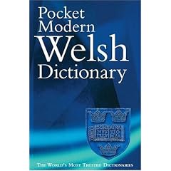 The Pocket Modern Welsh Dictionary: A Guide to the Living Language (Dictionary)