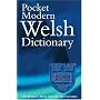 The Pocket Modern Welsh Dictionary: A Guide to the Living Language (Dictionary)