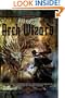 Arch Wizard (Falconfar Saga 2)
