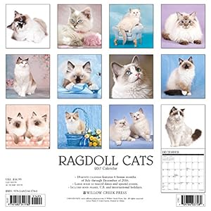 Ragdoll Cats 2017 Wall Calendar