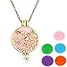 Essential Oil Diffuser Necklace,Aromatherapy Necklace Pendant,Perfume Necklace,Perfume Pendant,Elegant Style With 5 Refill PADs - Plating Alloy Locket Jewelry with 24