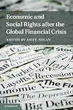 Economic and social rights after the global financial crises