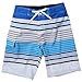 Quiksilver Men's Cerrano Boardshort
