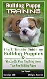 Bulldog Puppy Training: The Ultimate Guide on Bulldog Puppies, What to Do When You Bring Home Your New Bulldog Puppy
