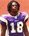 Sidney Rice Autographed / Signed Minnesota Vikings 8x10 Photo