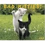 Bad Kitties 2008 Calendar