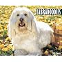 Just Labradoodles 2009 Calendar