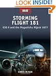 Storming Flight 181 - GSG-9 and the M...