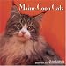 maine coon - Maine Coon Cats 2009 Wall Calendar