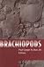 Brachiopods
