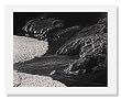Edward Weston, Point Lobos