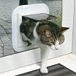 Trixie 4-Wege Freilauftür für Glastüren weiß