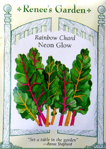 Chard Neon Glow Heirloom Seeds 50 Seeds