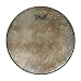 Remo SKYNDEEP Doumbek Head, 12" X 3/4"